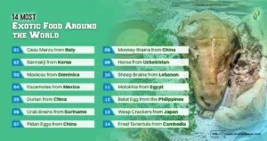 14 Most Exotic Food Around the World