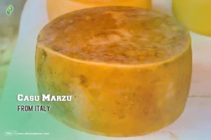 Casu Marzu