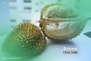 Durian