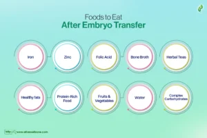 Foods to Eat After Embryo Transfer