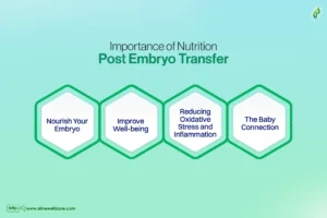 what to eat after egg transfer IVF  