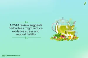 warm foods after embryo transfer