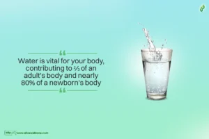 what to eat after IVF transfer