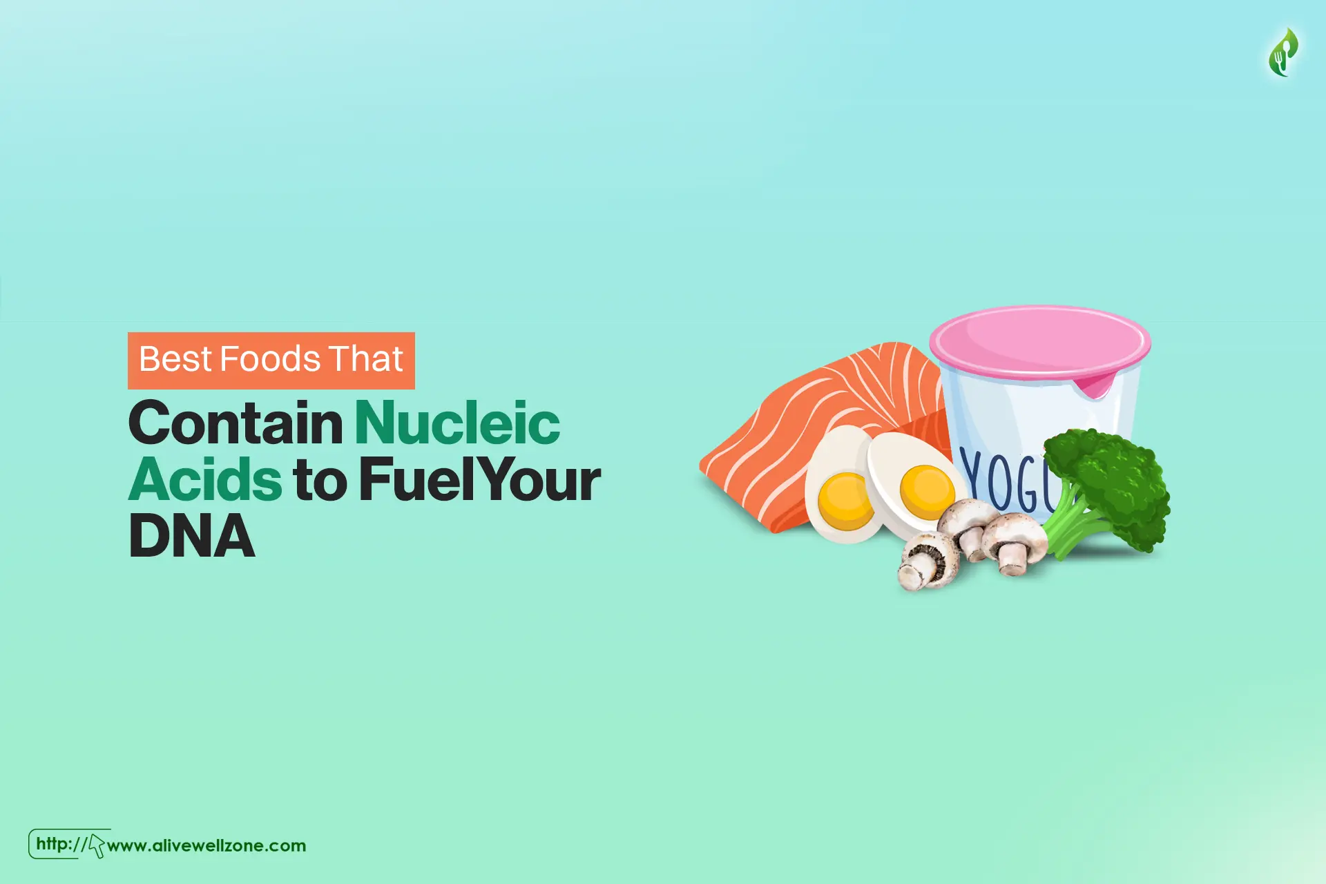 Best 11 Foods That Contain Nucleic Acids to Fuel Your DNA - Alive Well Zone