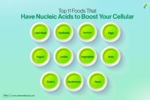 foods that have nucleic acids