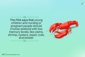 what foods are nucleic acids