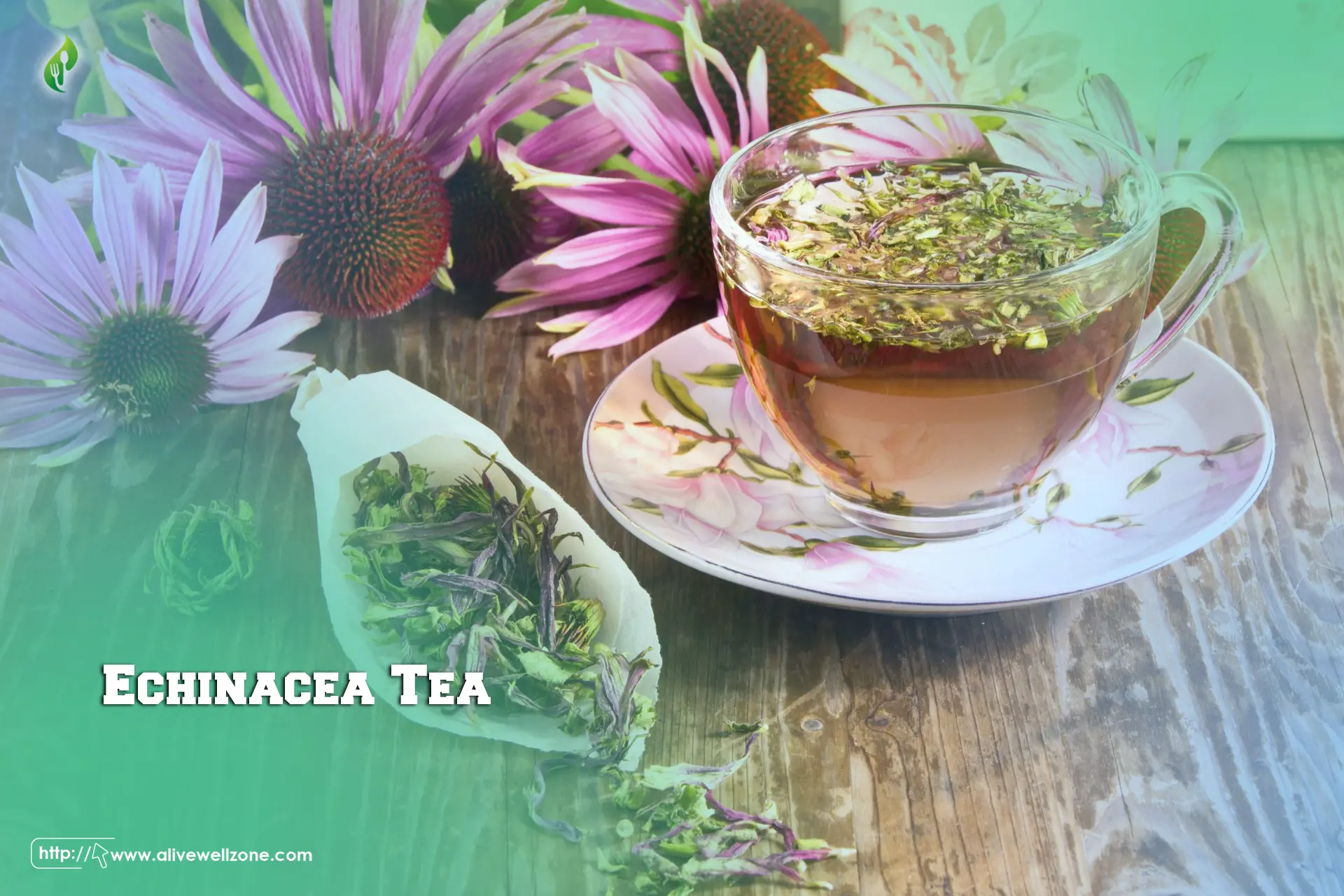 Echinacea Tea