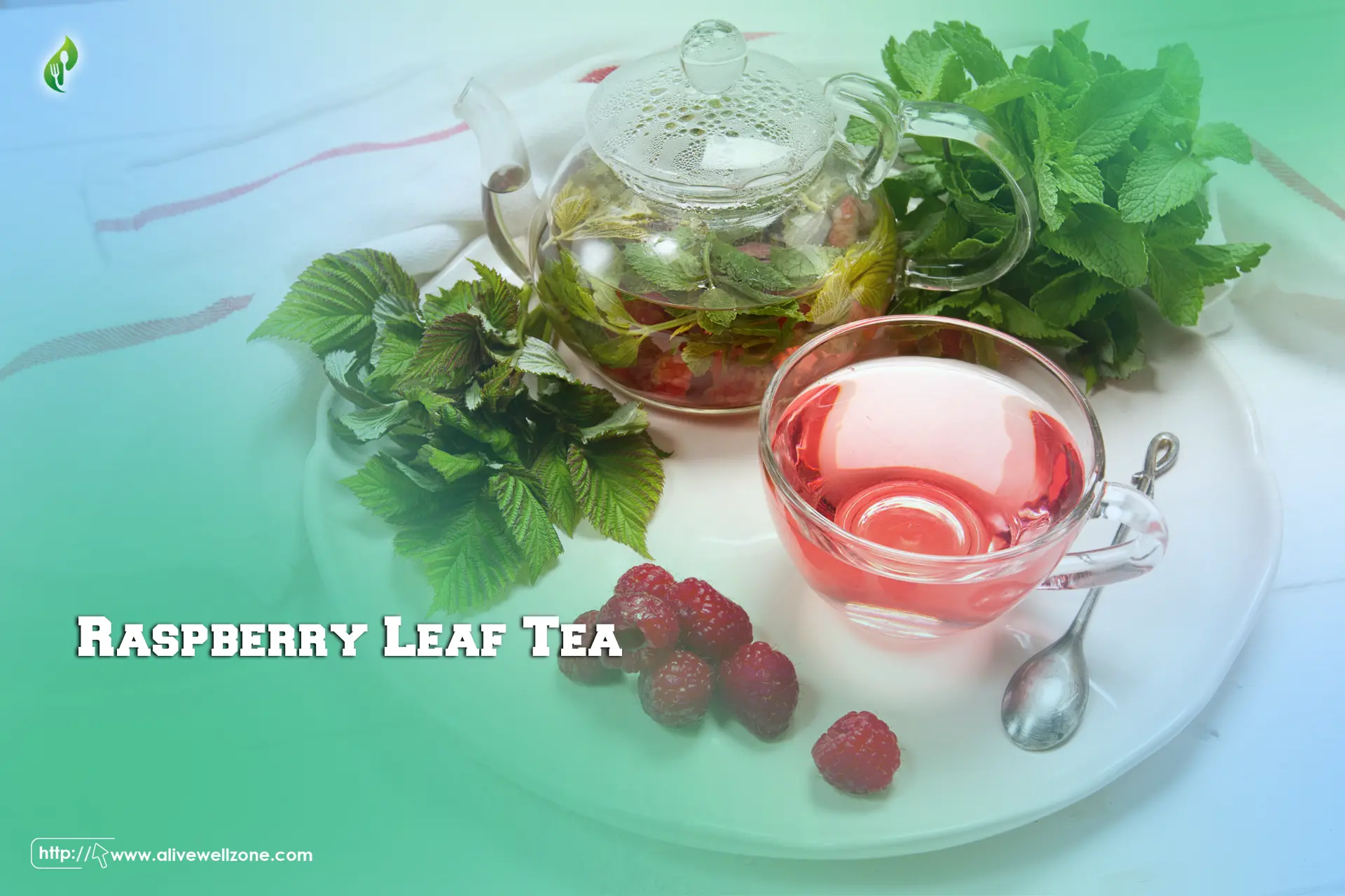 Raspberry Leaf Tea