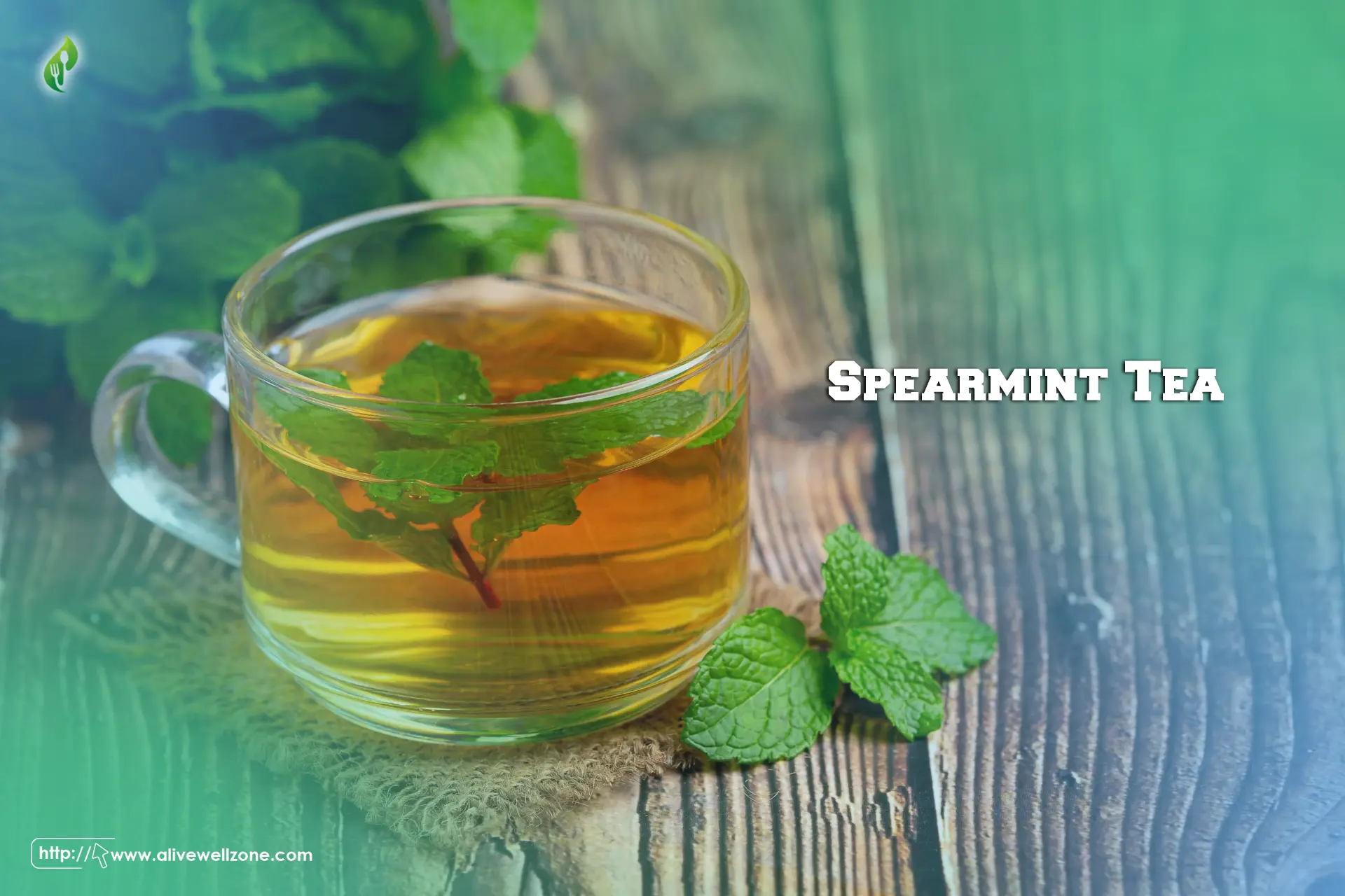 Spearmint Tea