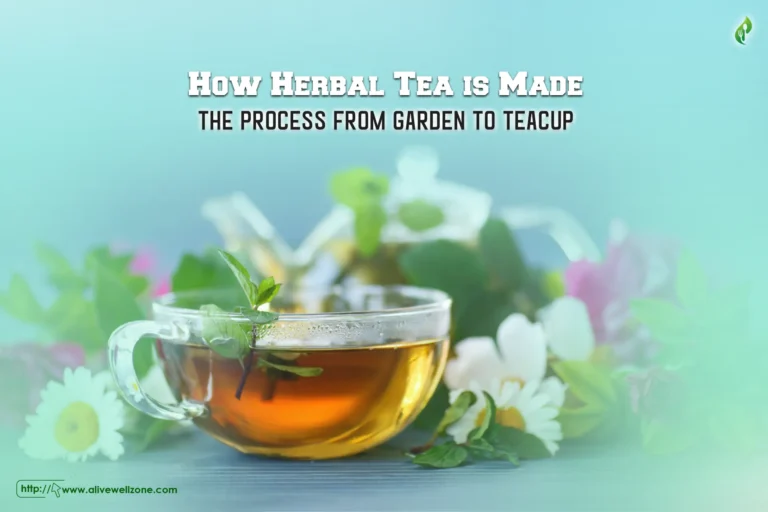 How Herbal Tea is Made