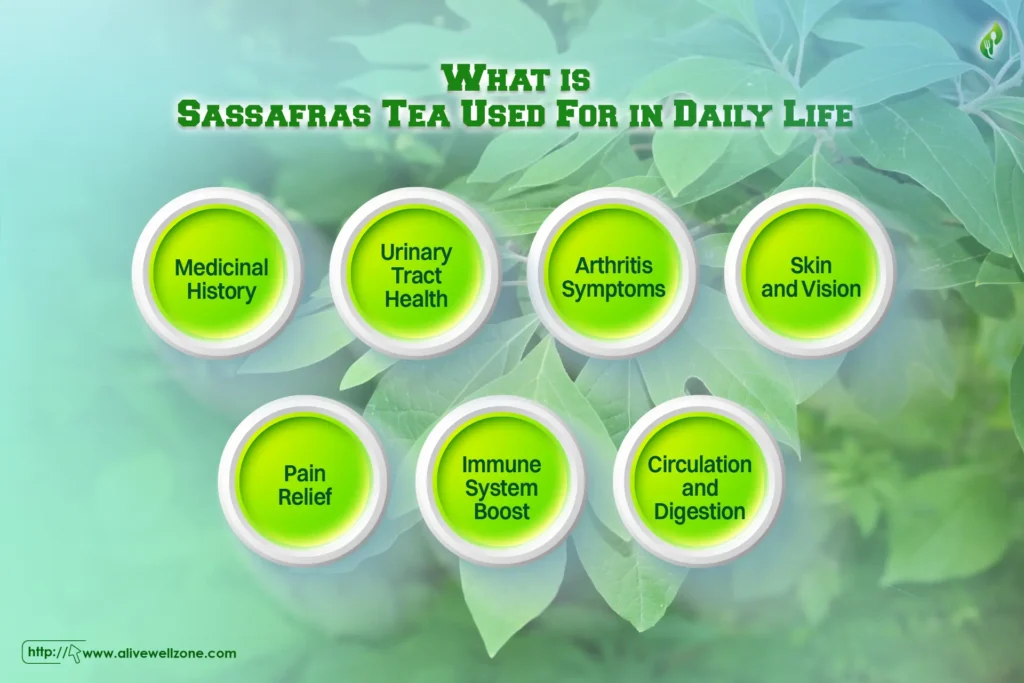 what is sassafras tea used for