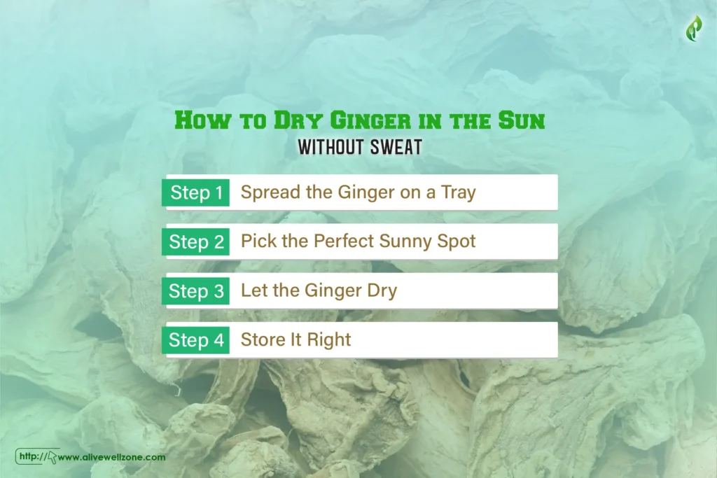 How to dry ginger in the sun