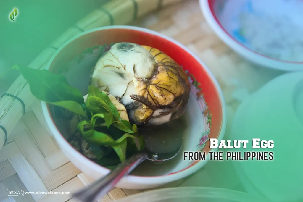 Balut Egg