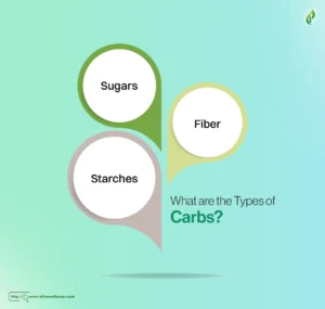 What are the Types of Carbs?