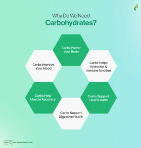Why Do We Need Carbohydrates?