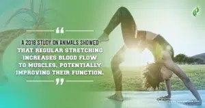 Benefits of Passive Stretching
