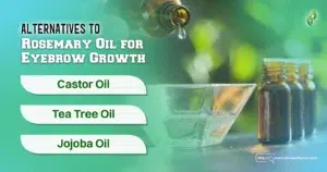 Alternatives to Rosemary Oil for Eyebrow Growth