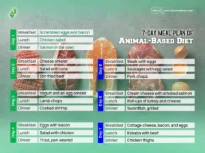 7-Day Meal Plan of Animal-Based Diet