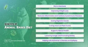 Benefits of Animal Based Diet