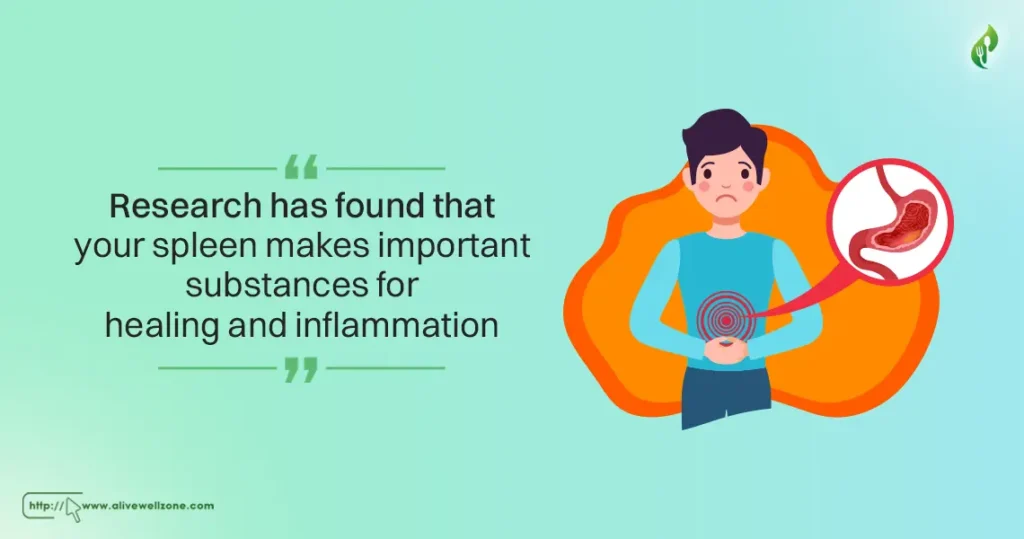Best foods that are good for your spleen, spinach and oats for digestion