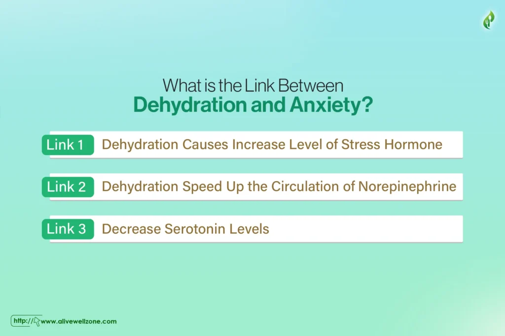 What is the Link Between Dehydration and Anxiety?