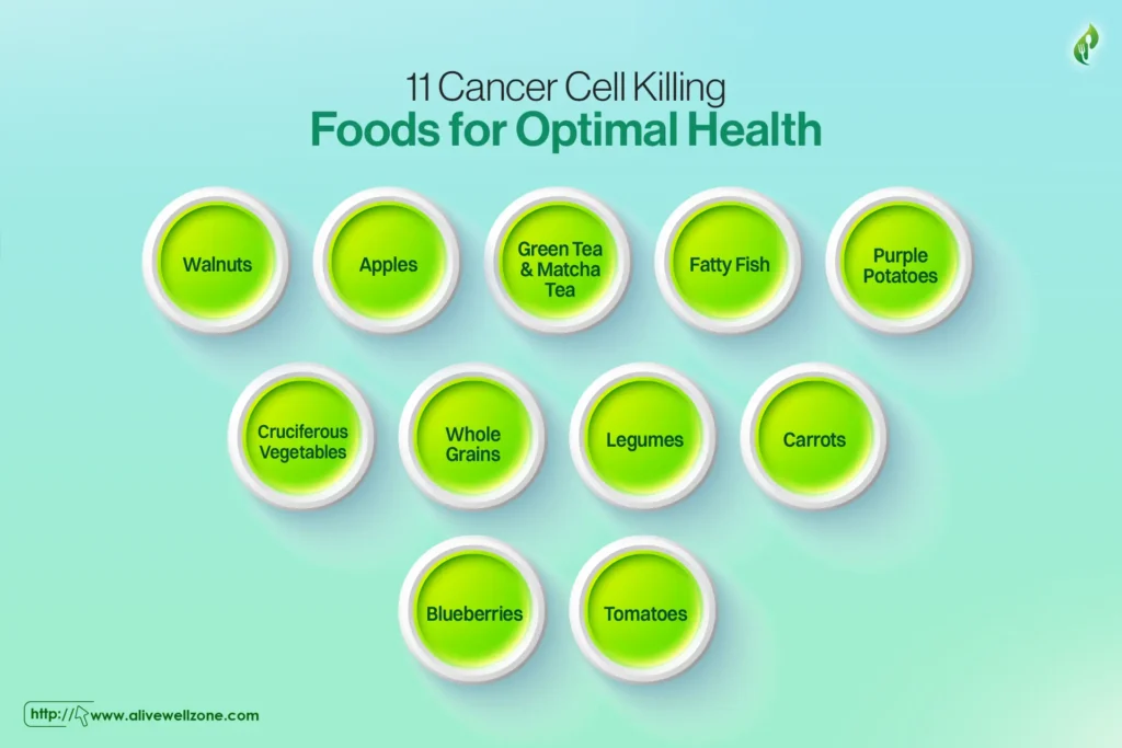 11 Cancer Cell Killing Foods for Optimal Health