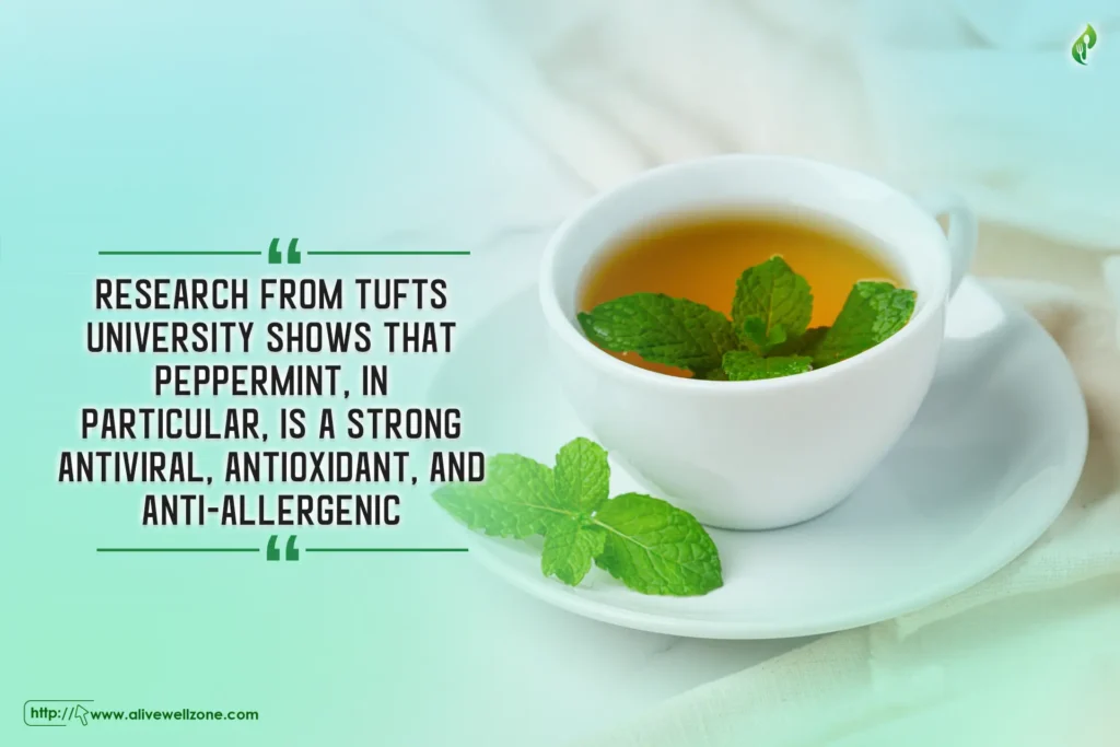 esearch from Tufts University shows that peppermint, in particular, is a strong antiviral, antioxidant, and anti-allergenic